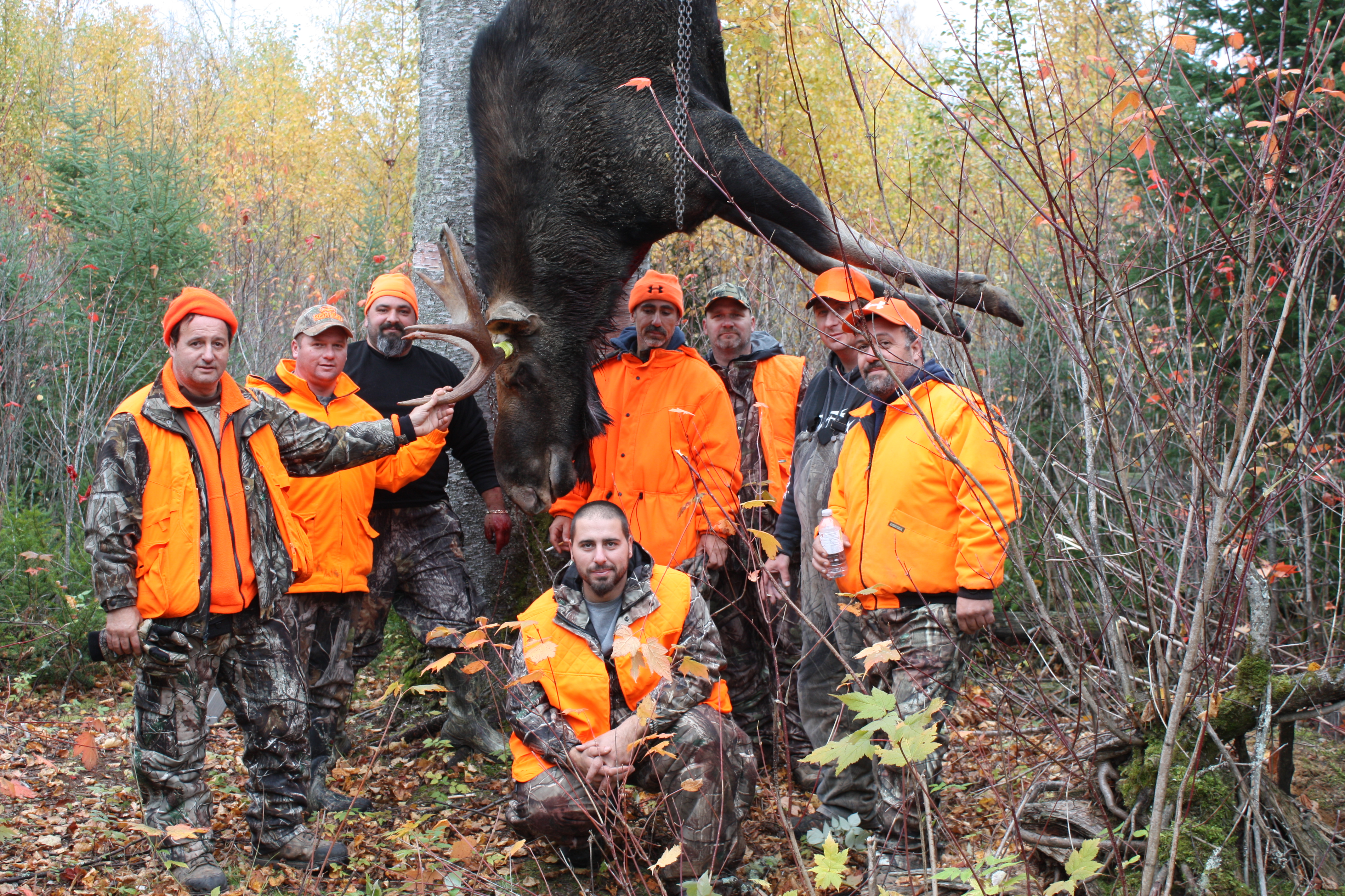 Moose hunt draw ontario