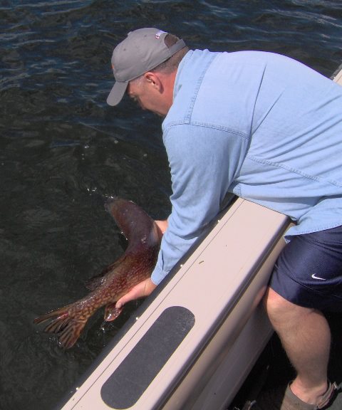 Northern Pike Fishing