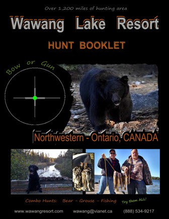 Information on Black Bear Hunts