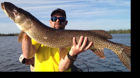 Walleye Fishing